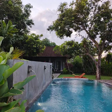 Bali Gecko Homestay