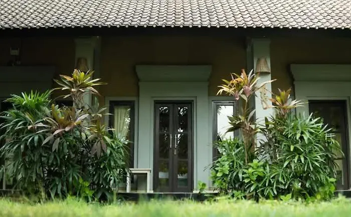 Bali Gecko Пемутеран