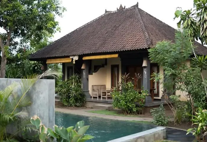 Bali Gecko Проживание в семье