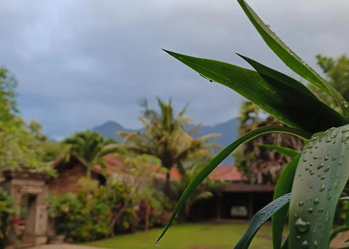 Bali Gecko Проживание в семье Пемутеран