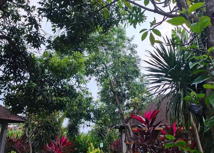 Проживание в семье Bali Gecko Пемутеран