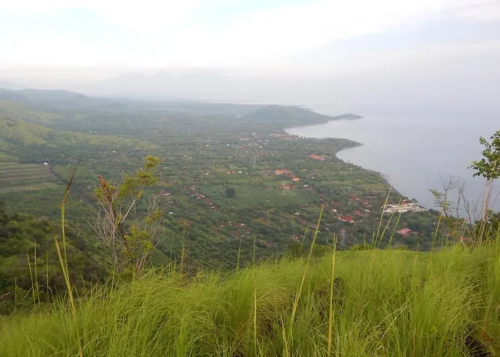 Bali Gecko Пемутеран