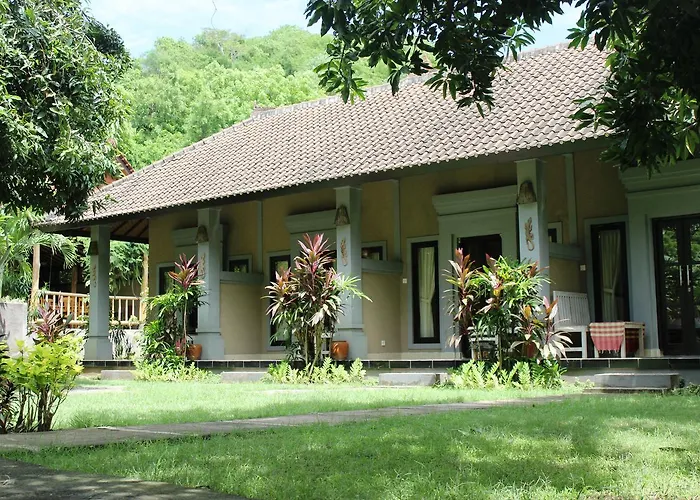 Bali Gecko Проживание в семье