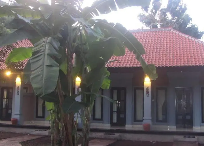 Bali Gecko * Пемутеран