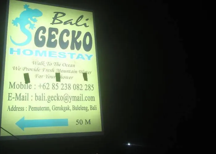 Bali Gecko *