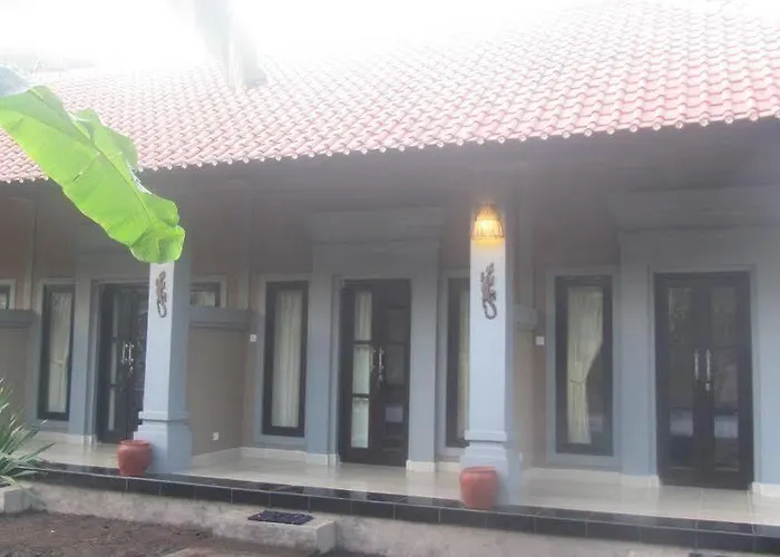 Проживание в семье Bali Gecko